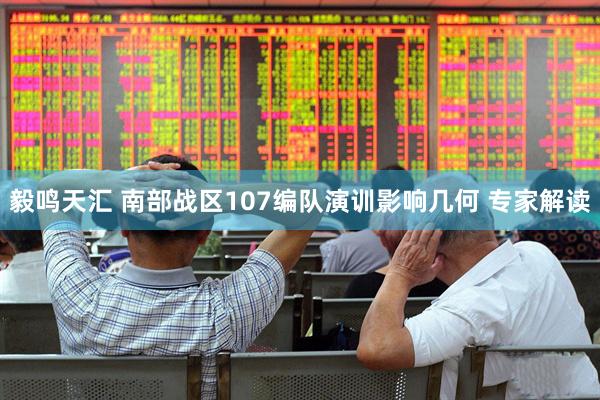 毅鸣天汇 南部战区107编队演训影响几何 专家解读