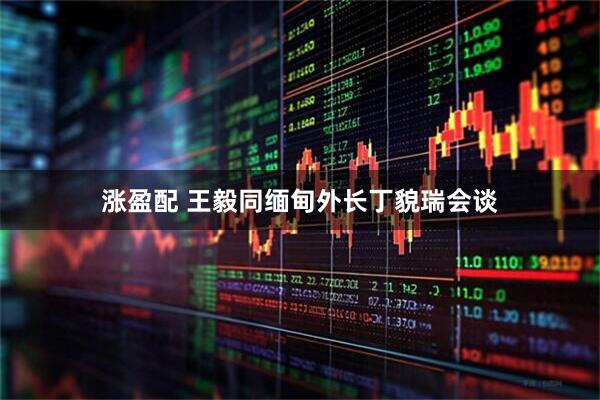 涨盈配 王毅同缅甸外长丁貌瑞会谈